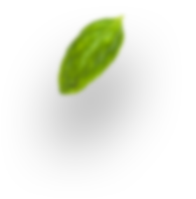 avatar-2
